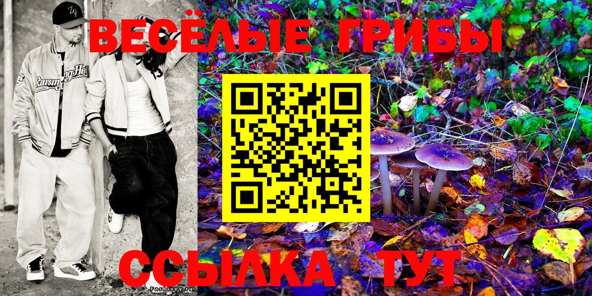 Псилоцибиновые грибы Psilocybine cubensis Урай