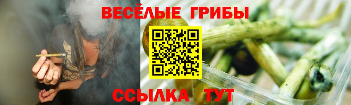 Галлюциногенные грибы Psilocybine cubensis  Вход с VPN  Псилоцибиновые грибы GOLDEN TEACHER  Урай 